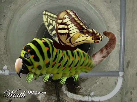 Photoshop Design by easyto123