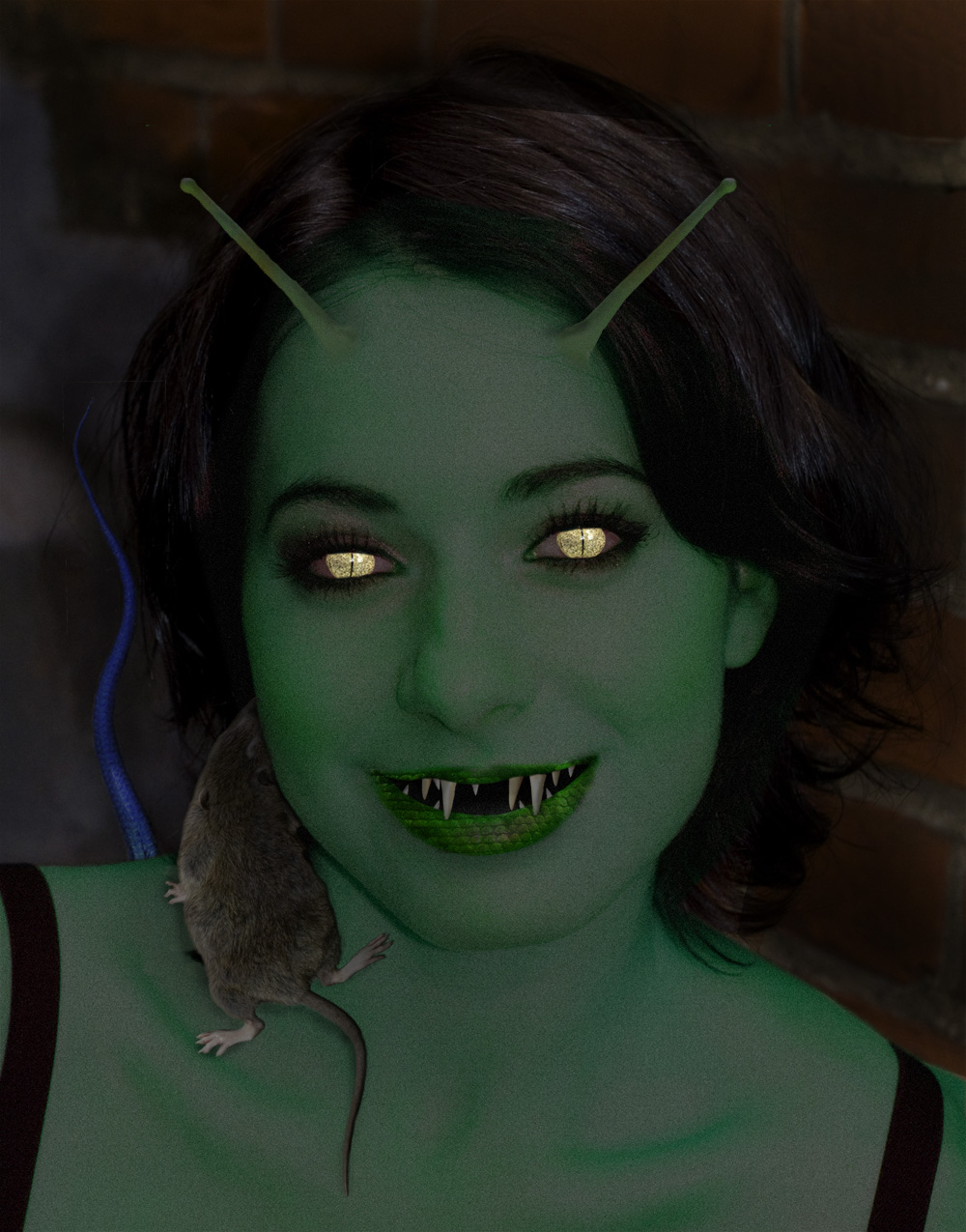 Photoshop Design by TrickiNikki for DesignCrowd (Community Contests) | Design #8967254