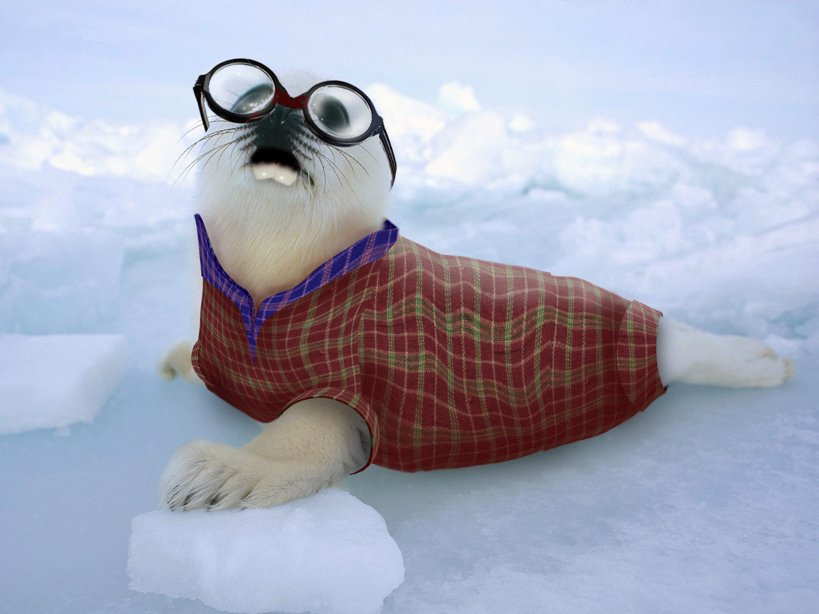 Photoshop Design by Junnoir for DesignCrowd (Community Contests) | Design #8968145