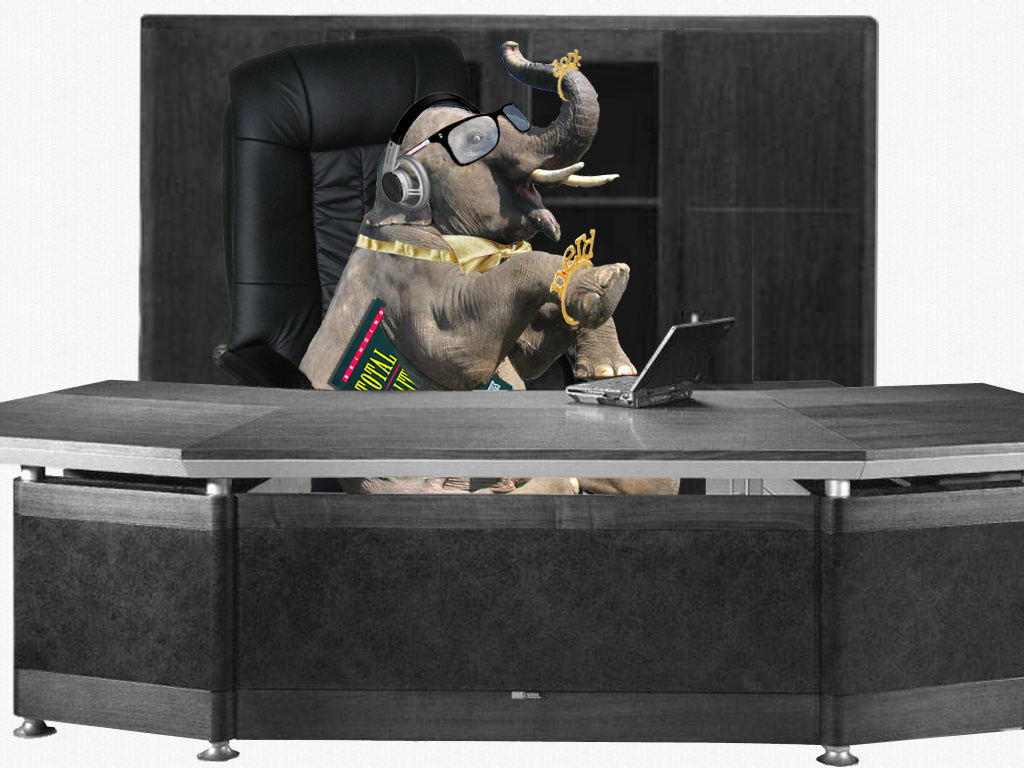 Photoshop Design by gondolina for DesignCrowd (Community Contests) | Design #8968174