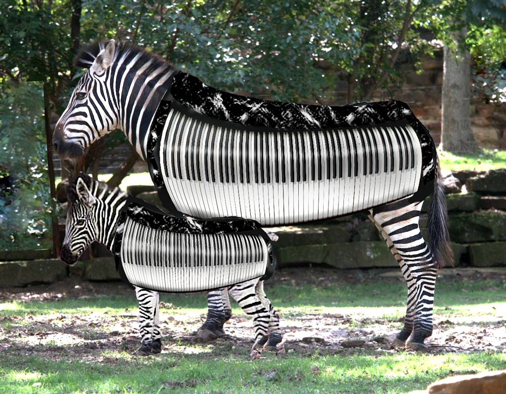 Diseño de Photoshop por paperdreamers para DesignCrowd (Community Contests) | Diseño #8968090