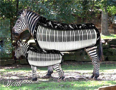 Photoshop Design by paperdreamers