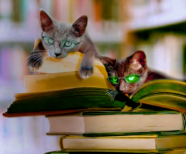 Diseño de Photoshop por Chimmi para DesignCrowd (Community Contests) | Diseño #8968148