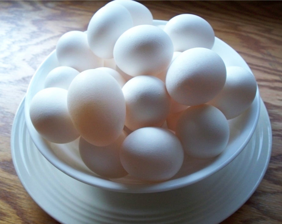 Photography by GutsAndGlory for DesignCrowd (Community Contests) | Design #8966600