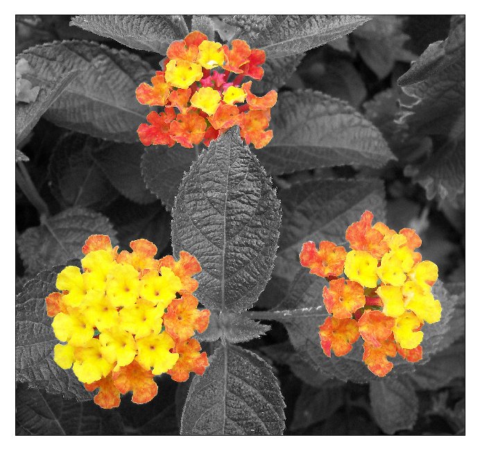 Photography by cassnorton for DesignCrowd (Community Contests) | Design #8968448