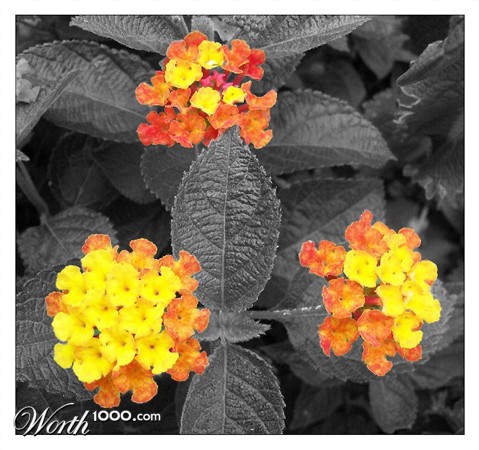 Photography by cassnorton