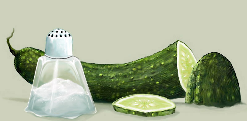 Illustration Design by wannabe for DesignCrowd (Community Contests) | Design #8969563