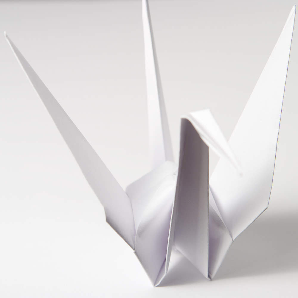 Photography by VoidPointer for DesignCrowd (Community Contests) | Design #8966581