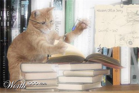 Photoshop Design by aayushrivastava