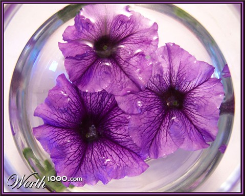 Photography by vpravda