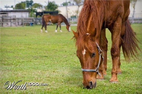 Photography by DozerLYP