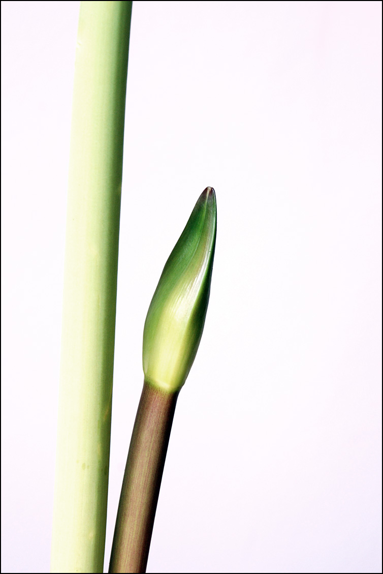 Photography by Craigr1978 for DesignCrowd (Community Contests) | Design #8964420
