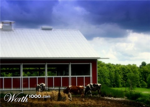 Photography by MDesign