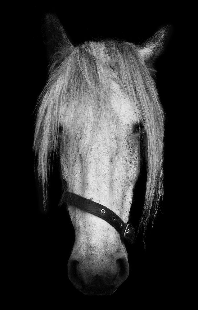 Fotografie von Flimzer für DesignCrowd (Community Contests) | Design #8969953