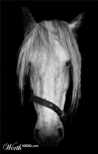 Photography by Flimzer