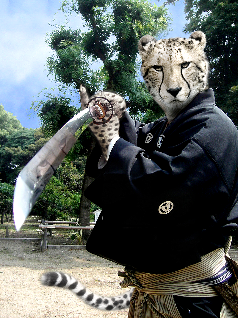 Design Photoshop par VinIMouse pour DesignCrowd (Community Contests) | Design #8970333