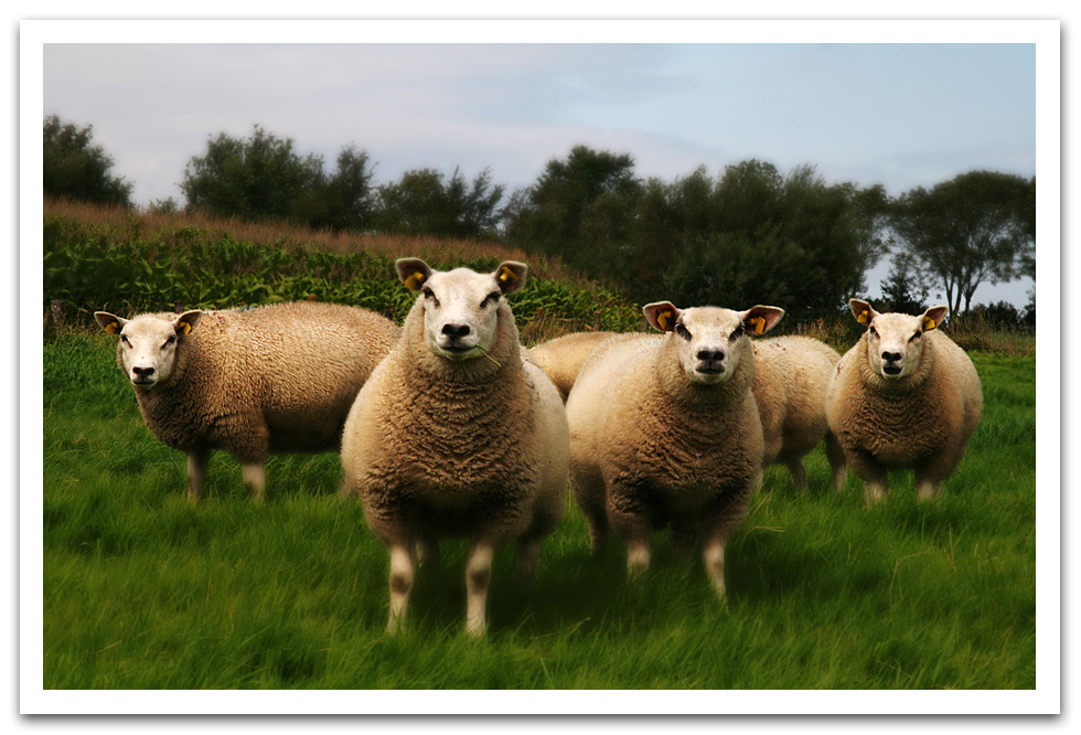 Photographie par Pr4ktic pour DesignCrowd (Community Contests) | Design #8969979