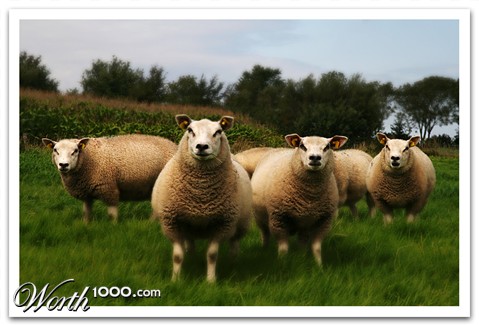 Photography by Pr4ktic