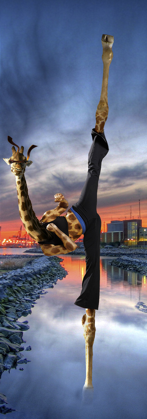 Photoshop Design by loutremauve for DesignCrowd (Community Contests) | Design #8970398