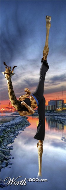 Photoshop Design by loutremauve