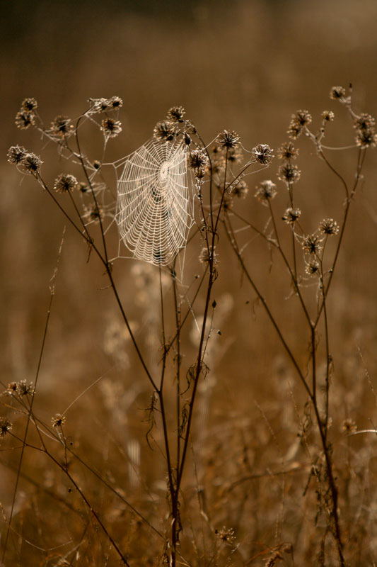 Photographie par barmanmyk pour DesignCrowd (Community Contests) | Design #8964425