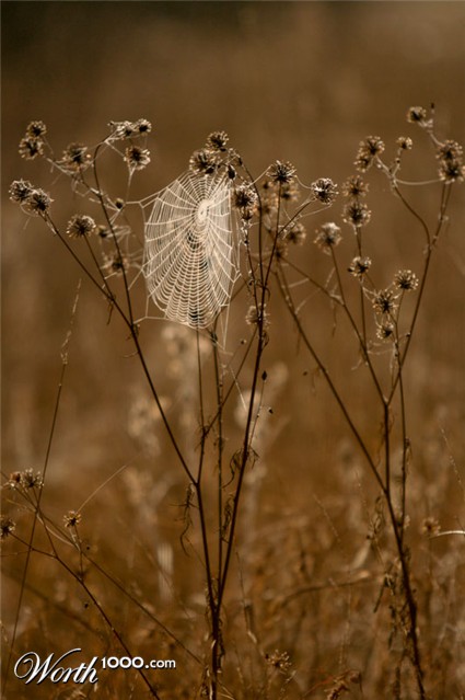 Photography by barmanmyk