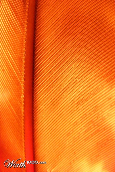 Photography by Safekeeper