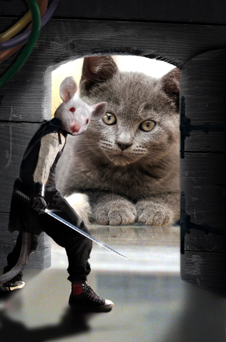 Design Photoshop par jesselively pour DesignCrowd (Community Contests) | Design #8970414