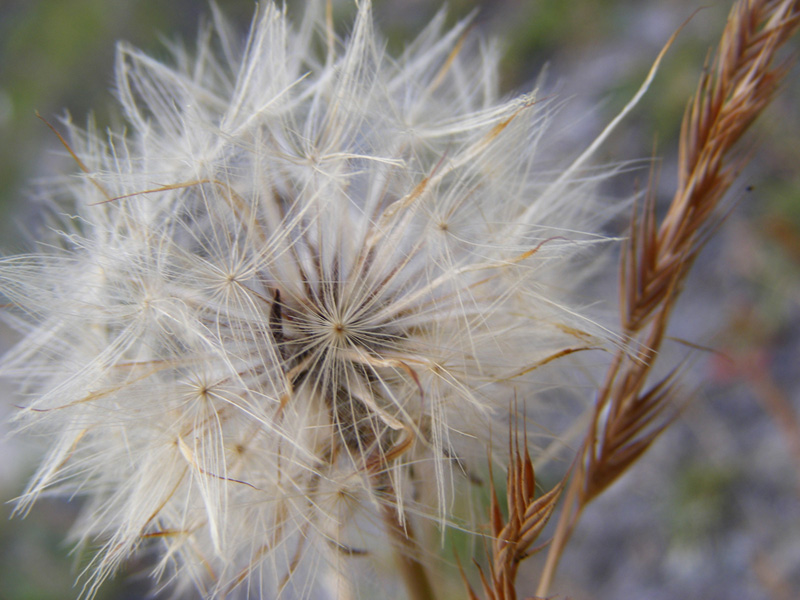 Photographie par Safekeeper pour DesignCrowd (Community Contests) | Design #8964431