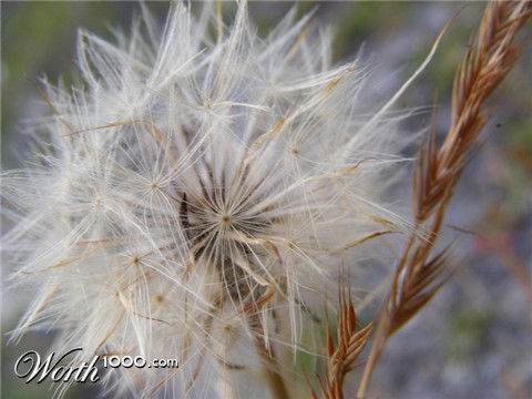 Photography by Safekeeper