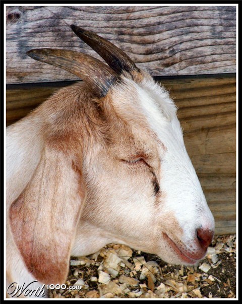 Photography by Marlii