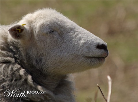 Photography by Rvannith