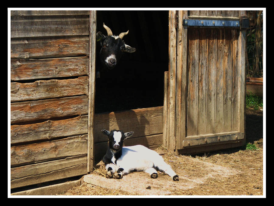 Photography by Vodoc1005 for DesignCrowd (Community Contests) | Design #8970041