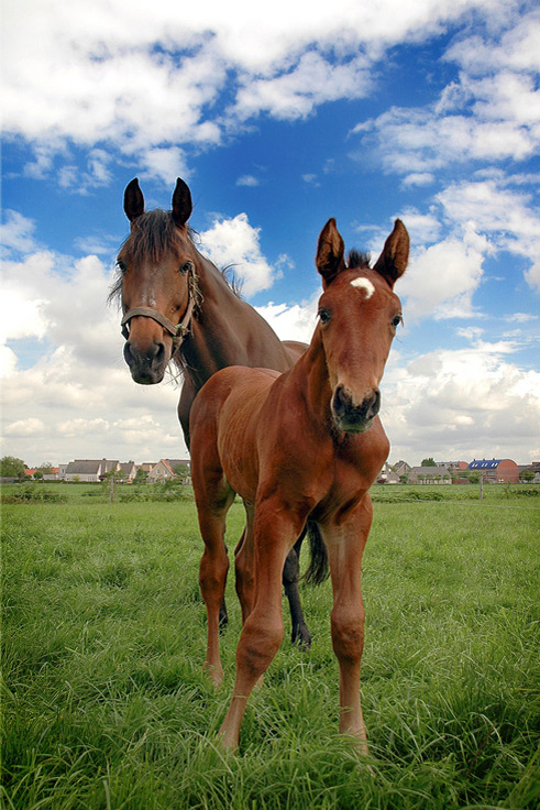 Fotografie von Marian für DesignCrowd (Community Contests) | Design #8970010