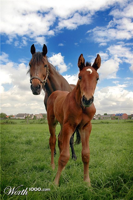 Photography by Marian