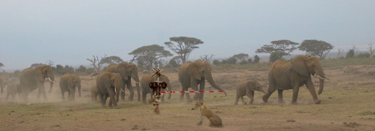 Diseño de Photoshop por firest para DesignCrowd (Community Contests) | Diseño #8967281