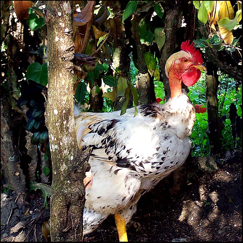 Photography by vpravda for DesignCrowd (Community Contests) | Design #8970051