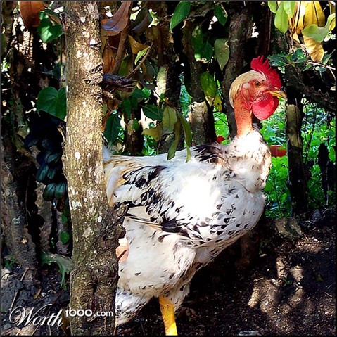 Photography by vpravda