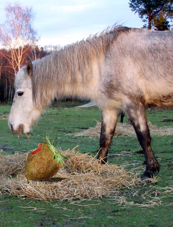 Diseño de Photoshop por elgosso para DesignCrowd (Community Contests) | Diseño #8967051