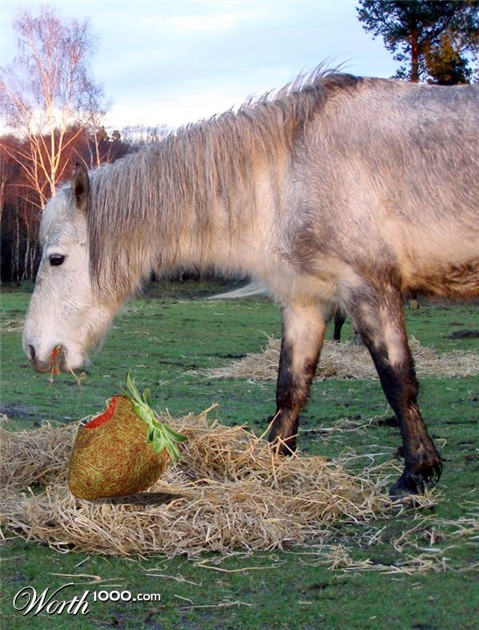 Photoshop Design by elgosso