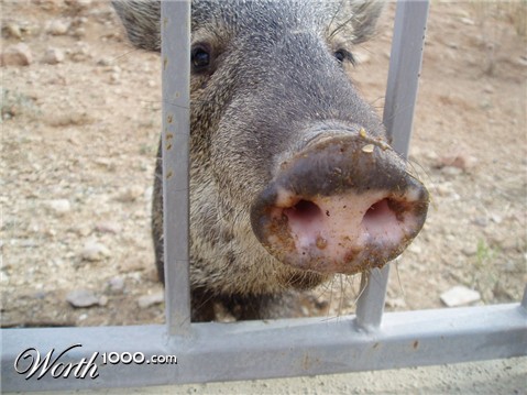 Photography by zcavett