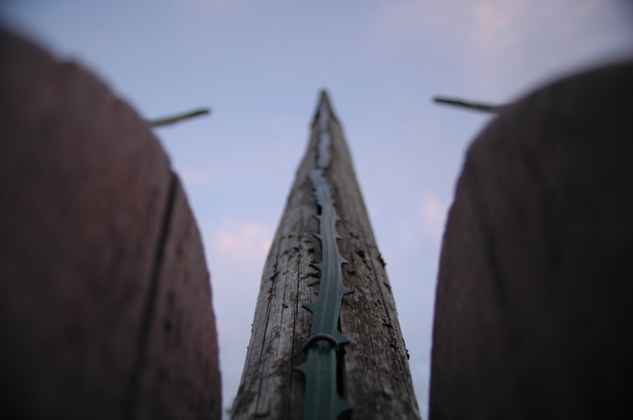 Photography by Maridala for DesignCrowd (Community Contests) | Design #8968703