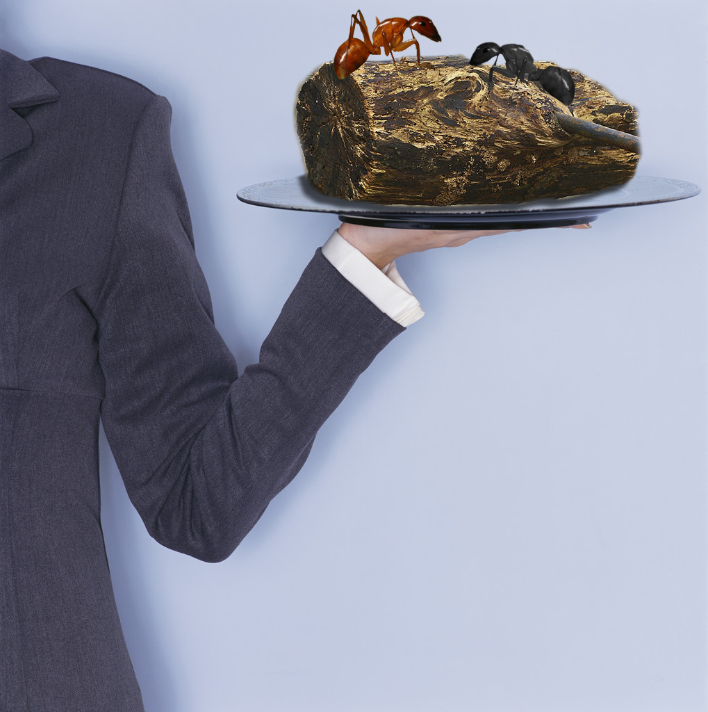 Diseño de Photoshop por error5001 para DesignCrowd (Community Contests) | Diseño #8967065