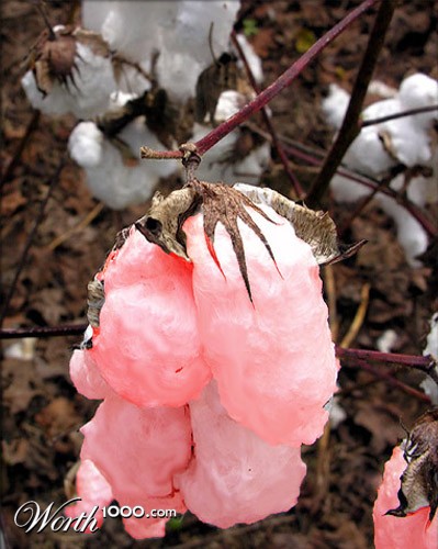 Photoshop Design by naranjas109