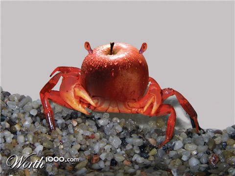 Photoshop Design by aronius