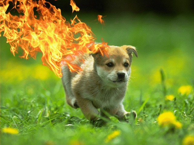 Design Photoshop par GutsAndGlory pour DesignCrowd (Community Contests) | Design #8967142