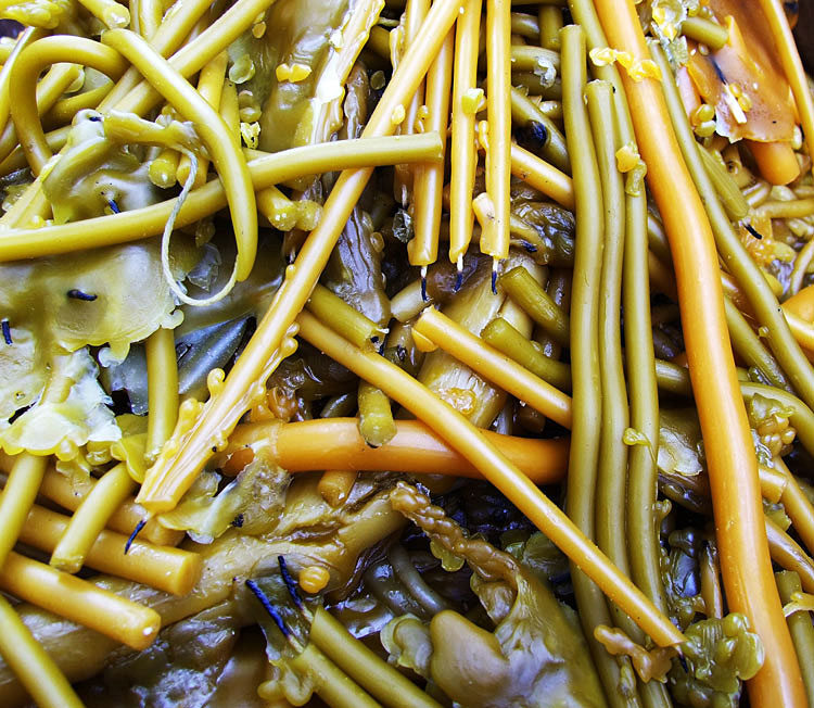 Photography by milicamica for DesignCrowd (Community Contests) | Design #8965017