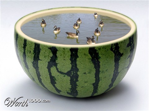 Photoshop Design by ktlong