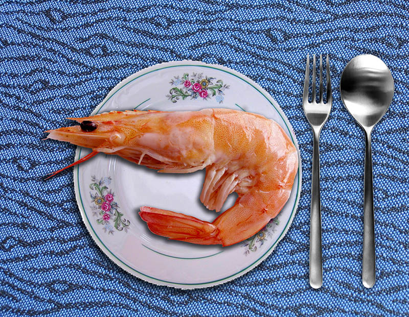 Photoshop Design by Alan2640 for DesignCrowd (Community Contests) | Design #8967146