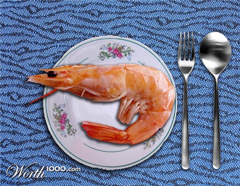 Photoshop Design by Alan2640